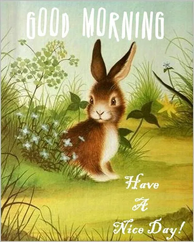 Good Morning Wishes Greeting Cards 25708