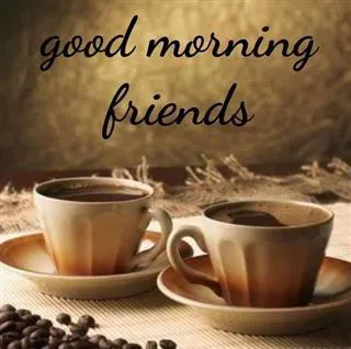 Good Morning Wishes Greeting Cards 6851
