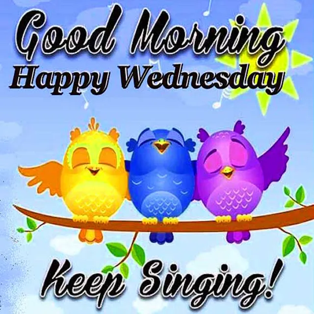 Everyday Greetings Greeting Cards 14525