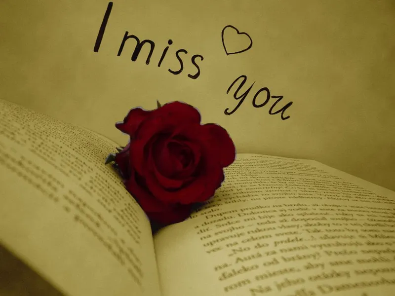 I Miss You Greetings Greeting Cards 13458
