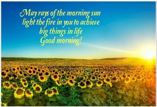 Good Morning Wishes Greeting Cards 7331