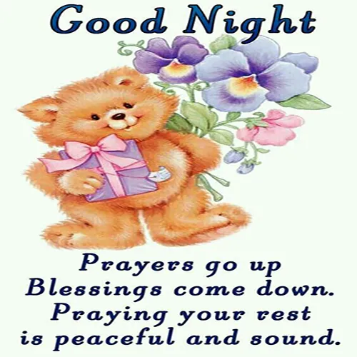 Good Night Greetings Greeting Cards 25839