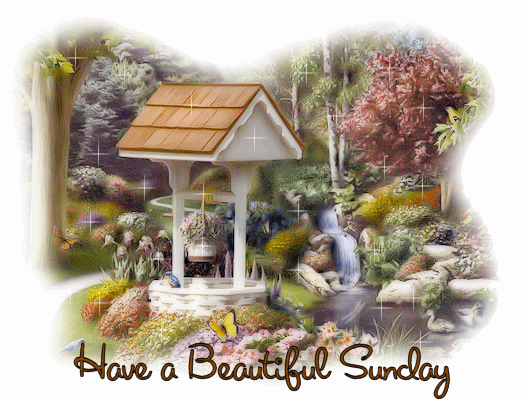 Sunday Greetings Greeting Cards 10463