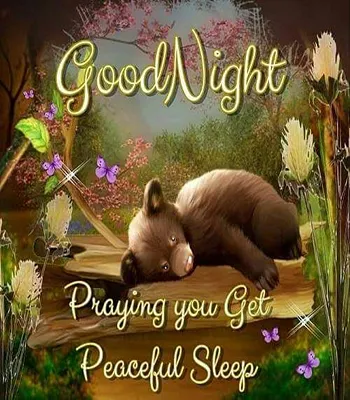 Good Night Greetings Greeting Cards 26111