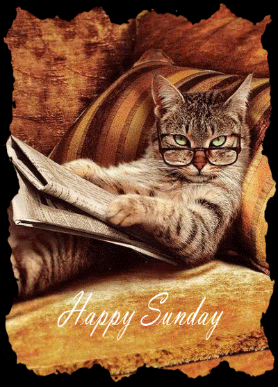 Sunday Greetings Greeting Cards 10028