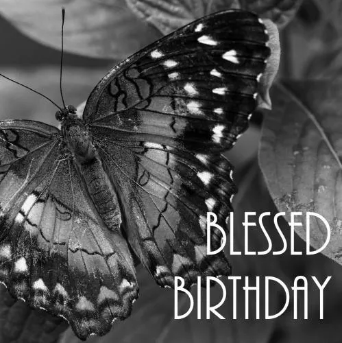 Birthday Greetings Greeting Cards 3370