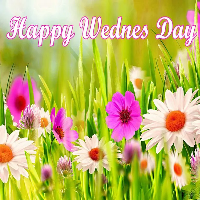 Everyday Greetings Greeting Cards 14530