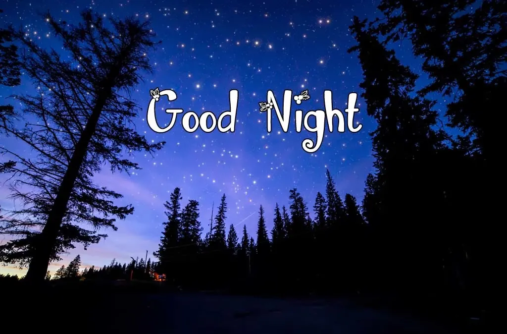 Good Night Greetings Greeting Cards 9356