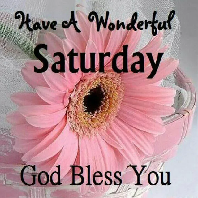 Saturday Greetings Greeting Cards 15269