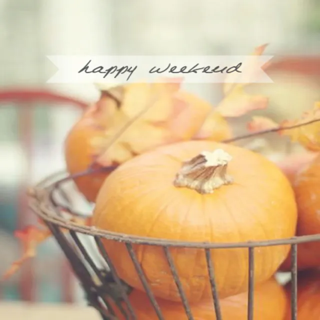 Weekend Greetings Greeting Cards 50572