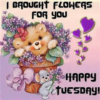 Everyday Greetings Greeting Cards 14468