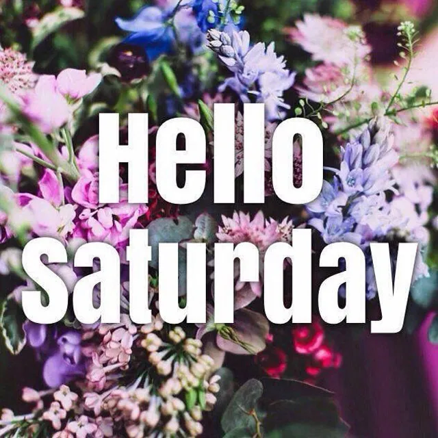 Saturday Greetings Greeting Cards 15270