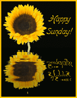 Sunday Greetings Greeting Cards 10381