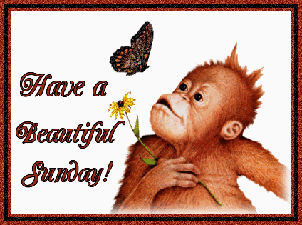 Sunday Greetings Greeting Cards 10222