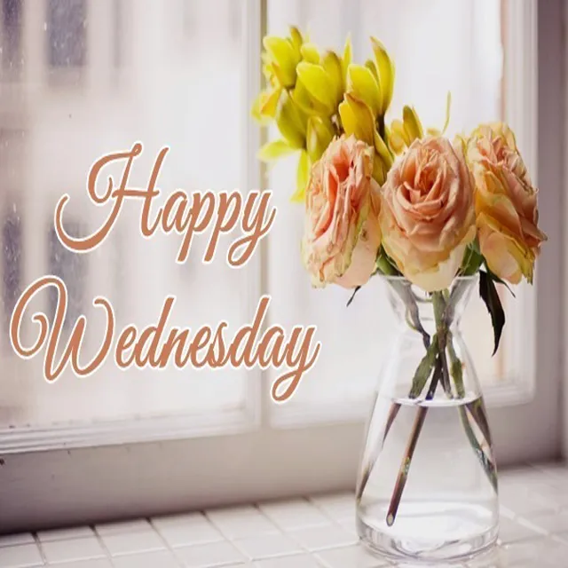 Everyday Greetings Greeting Cards 14513