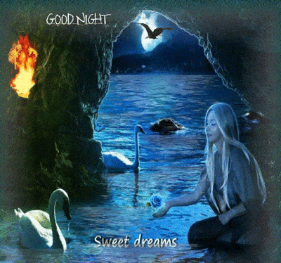 Good Night Greetings Greeting Cards 9204
