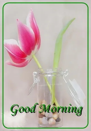 Saturday Greetings Greeting Cards 15317