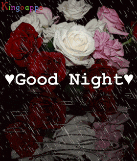 Good Night Greetings Greeting Cards 9720