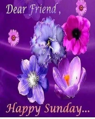 Sunday Greetings Greeting Cards 10130