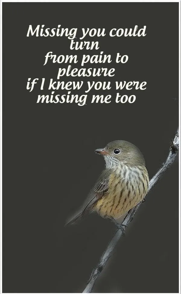 I Miss You Greetings Greeting Cards 13680