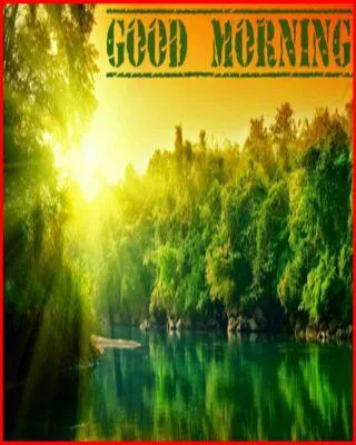 Good Morning Wishes Greeting Cards 6868