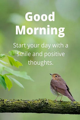 Good Morning Wishes Greeting Cards 25624