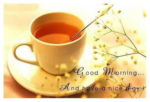 Good Morning Wishes Greeting Cards 7333