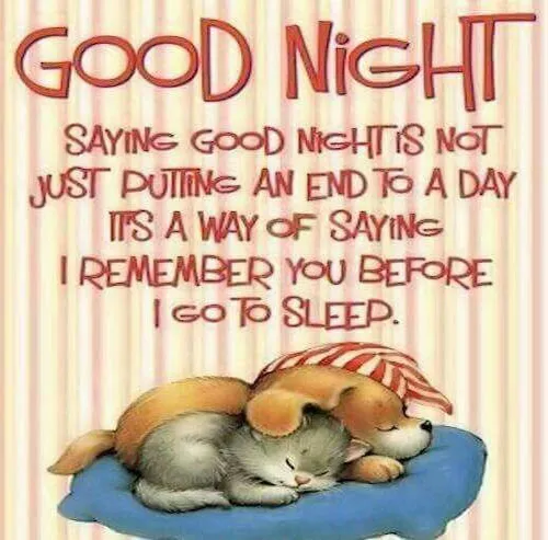 Good Night Greetings Greeting Cards 25836