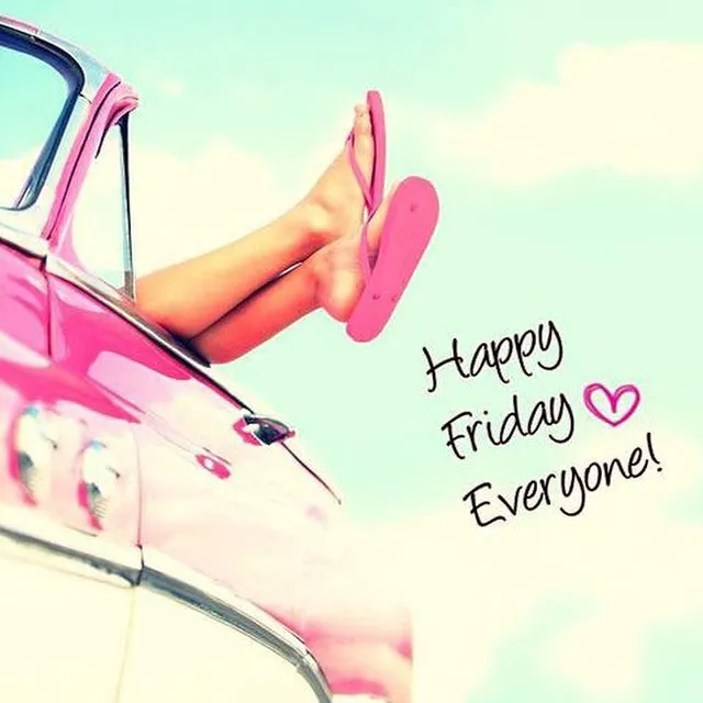 Everyday Greetings Greeting Cards 14639