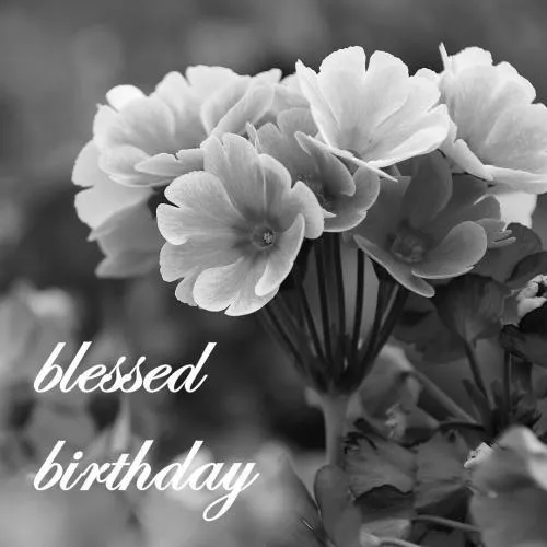 Birthday Greetings Greeting Cards 3371