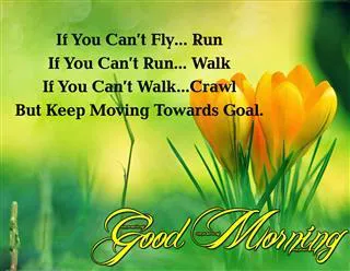 Good Morning Wishes Greeting Cards 6867
