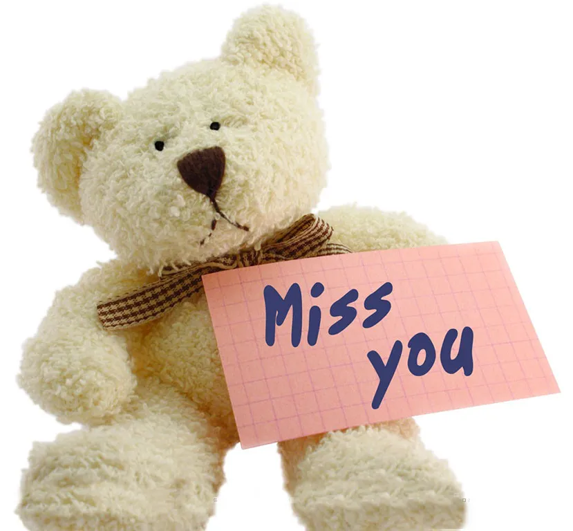I Miss You Greetings Greeting Cards 13457