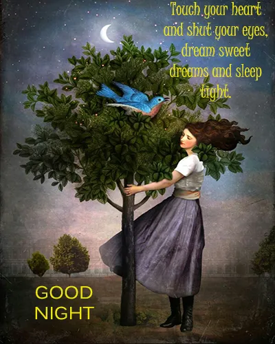 Good Night Greetings Greeting Cards 26017