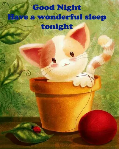 Good Night Greetings Greeting Cards 26016