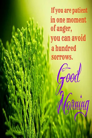 Good Morning Wishes Greeting Cards 25646