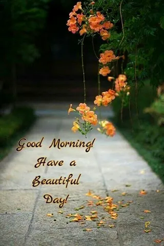 Good Morning Wishes Greeting Cards 25623
