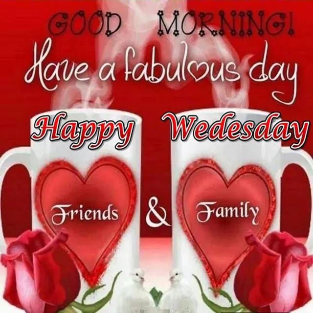 Everyday Greetings Greeting Cards 14511