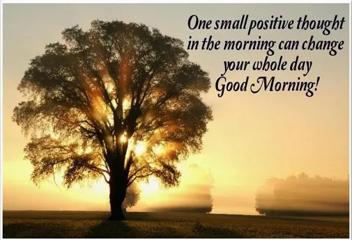 Good Morning Wishes Greeting Cards 7334