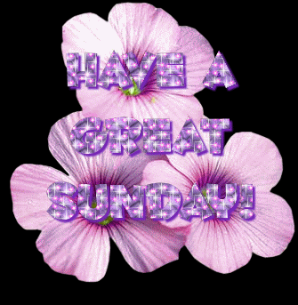 Sunday Greetings Greeting Cards 10220