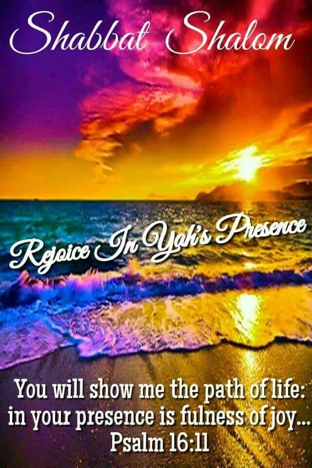 Shabbat Shalom Greeting Cards 51683