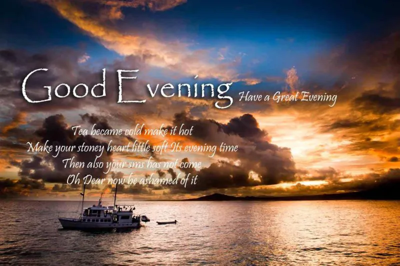 Good Evening Greetings Greeting Cards 9042