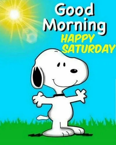 Everyday Greetings Greeting Cards 25378