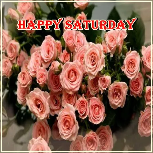 Saturday Greetings Greeting Cards 15265