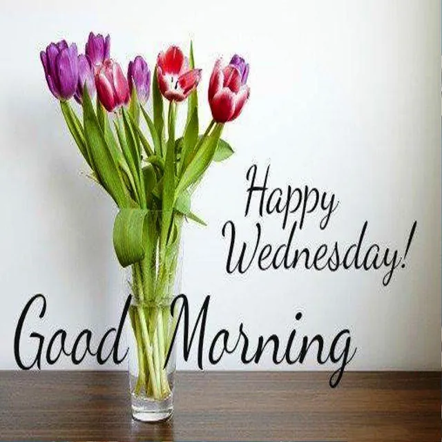 Everyday Greetings Greeting Cards 14515