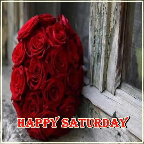 Saturday Greetings Greeting Cards 15266