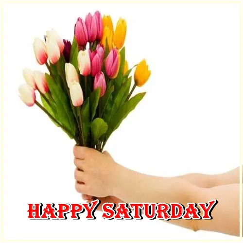 Saturday Greetings Greeting Cards 15313