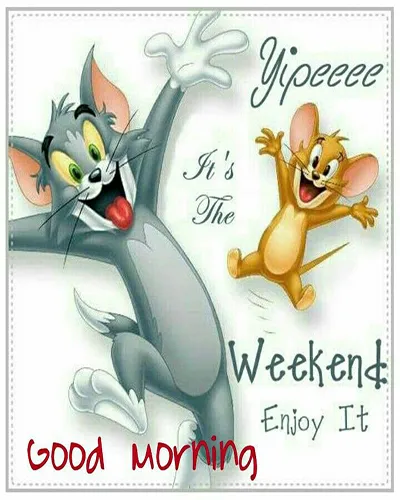 Good Morning Wishes Greeting Cards 25670