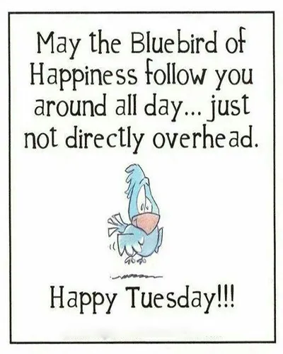 Everyday Greetings Greeting Cards 24567