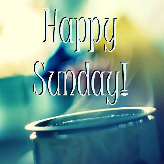 Everyday Greetings Greeting Cards 14414
