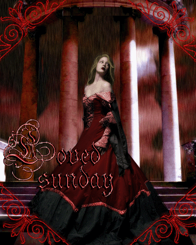 Sunday Greetings Greeting Cards 10464